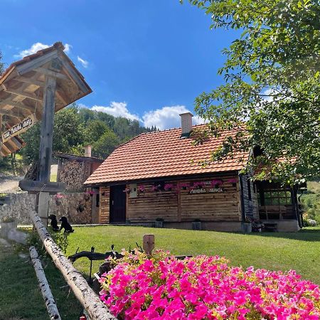 Konak Mandica Avlija Villa Zaovine Dış mekan fotoğraf