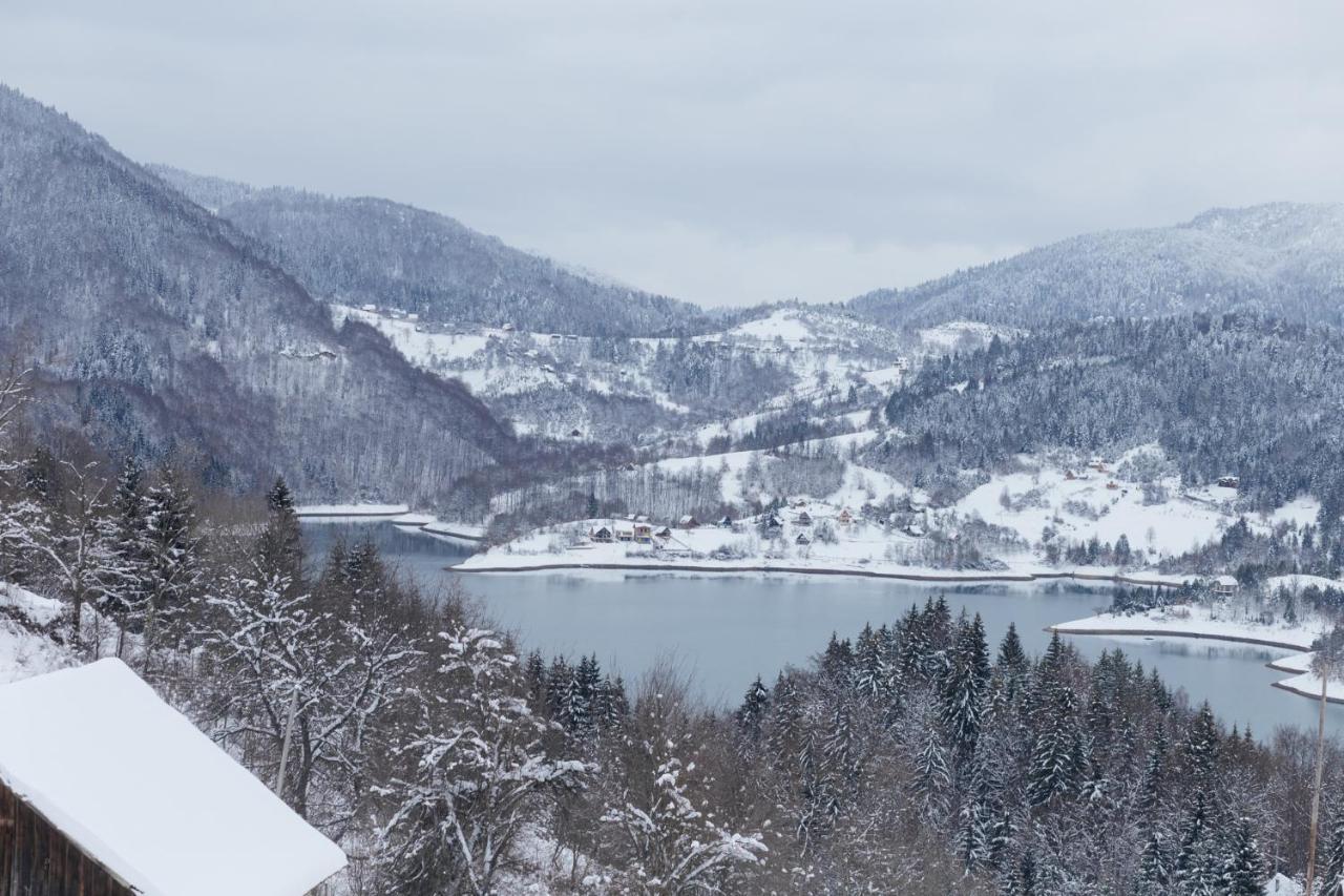 Konak Mandica Avlija Villa Zaovine Dış mekan fotoğraf