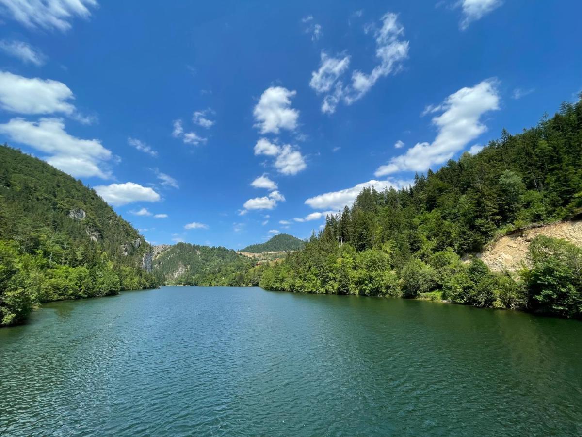 Konak Mandica Avlija Villa Zaovine Dış mekan fotoğraf