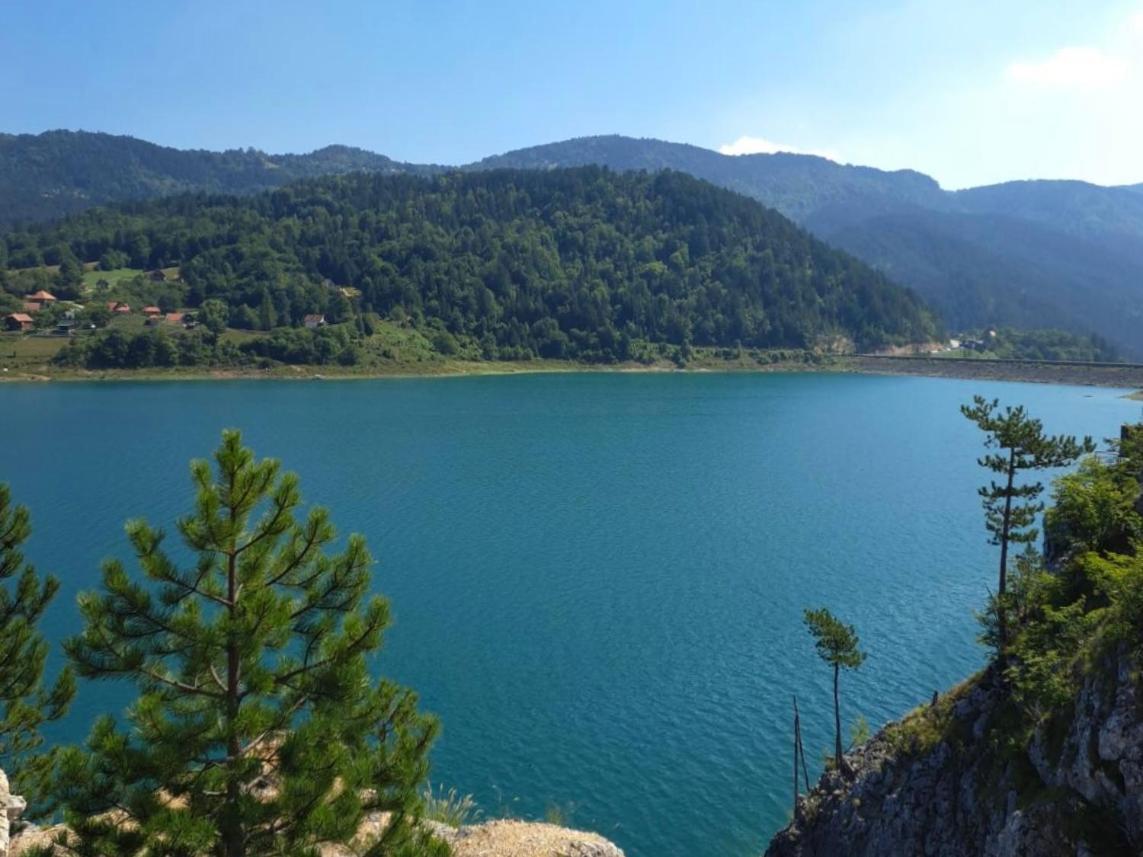 Konak Mandica Avlija Villa Zaovine Dış mekan fotoğraf